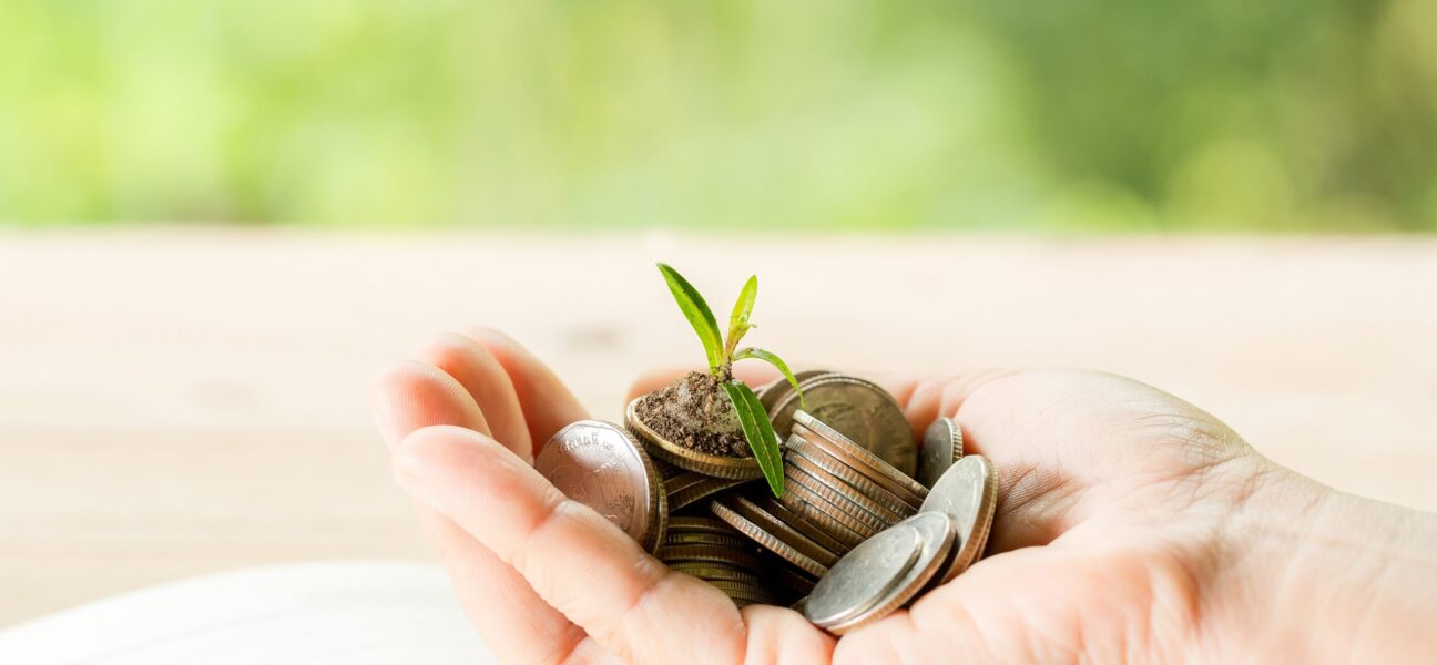 Aditya Birla Seeks $1.5bn for Shell Acquisition